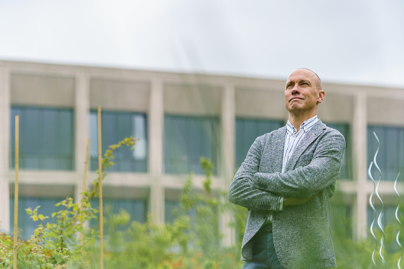 image dynamick peter dick