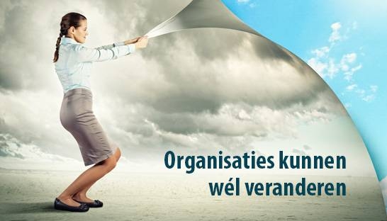 Hoe ervoor zorgen dat je als organisatie kan veranderen